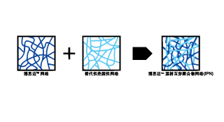 互穿聚合物网络（IPN）